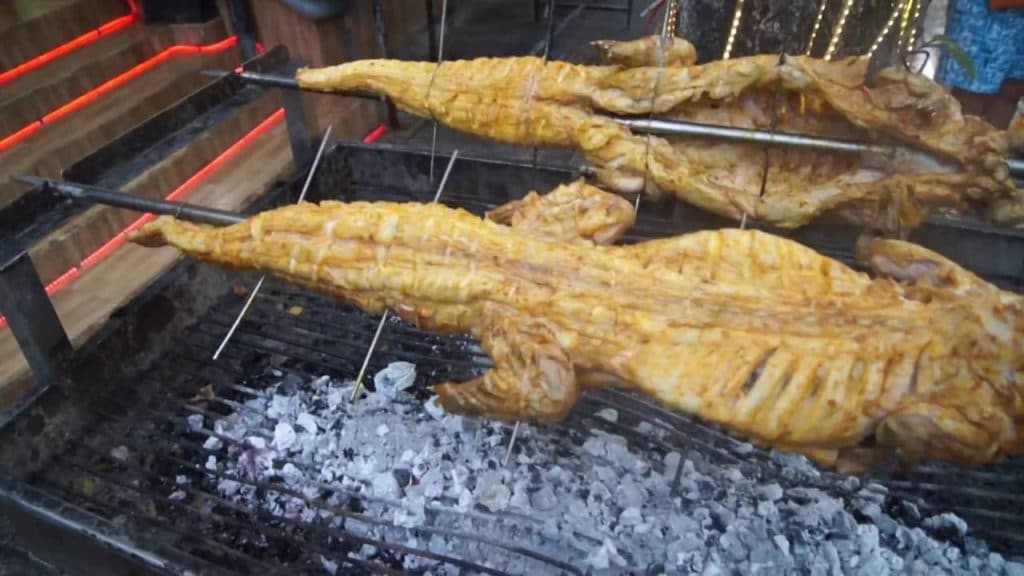 мясо крокодила