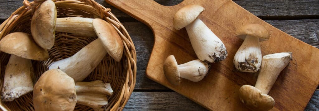Как готовить грибы