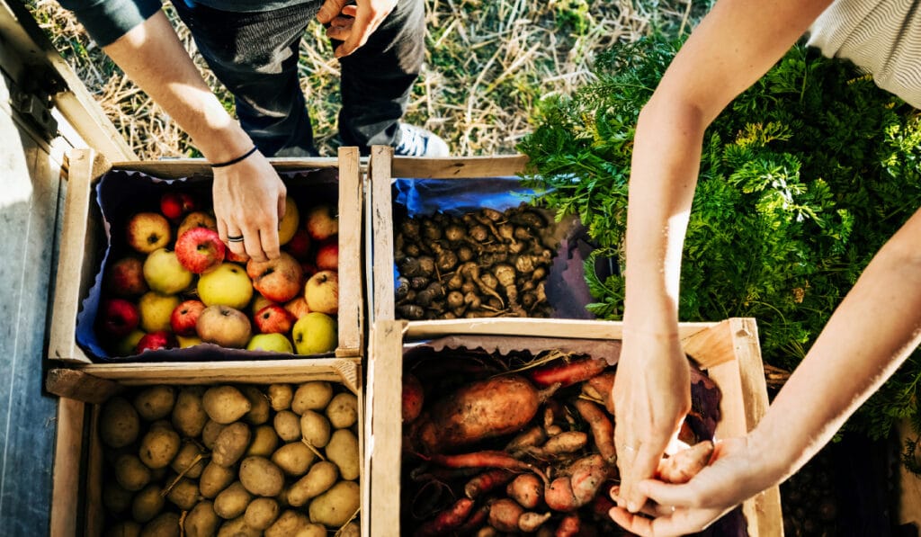 Можно ли заразится коронавирусом касаясь продуктов