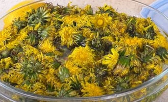 одуванчики в воде