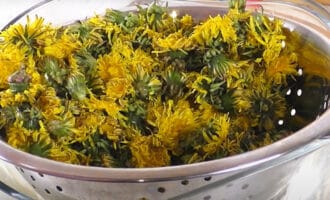 промытые одуванчики